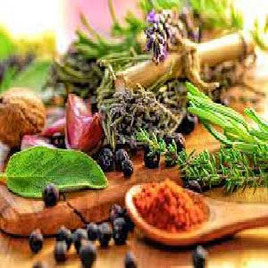 herb and seasoning