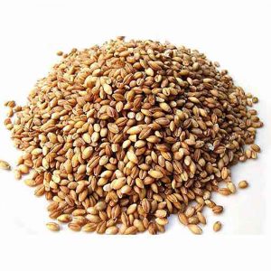 Barley poridge