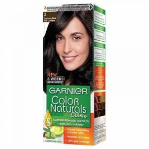 Garnier Hair Color Soft Black