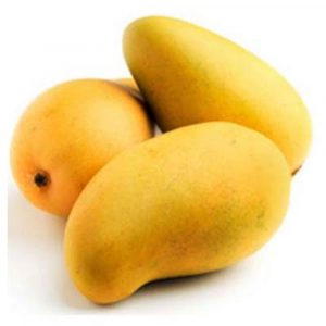 sindhri mango