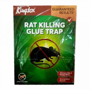 Kingtox Rat Killing Glue Trap